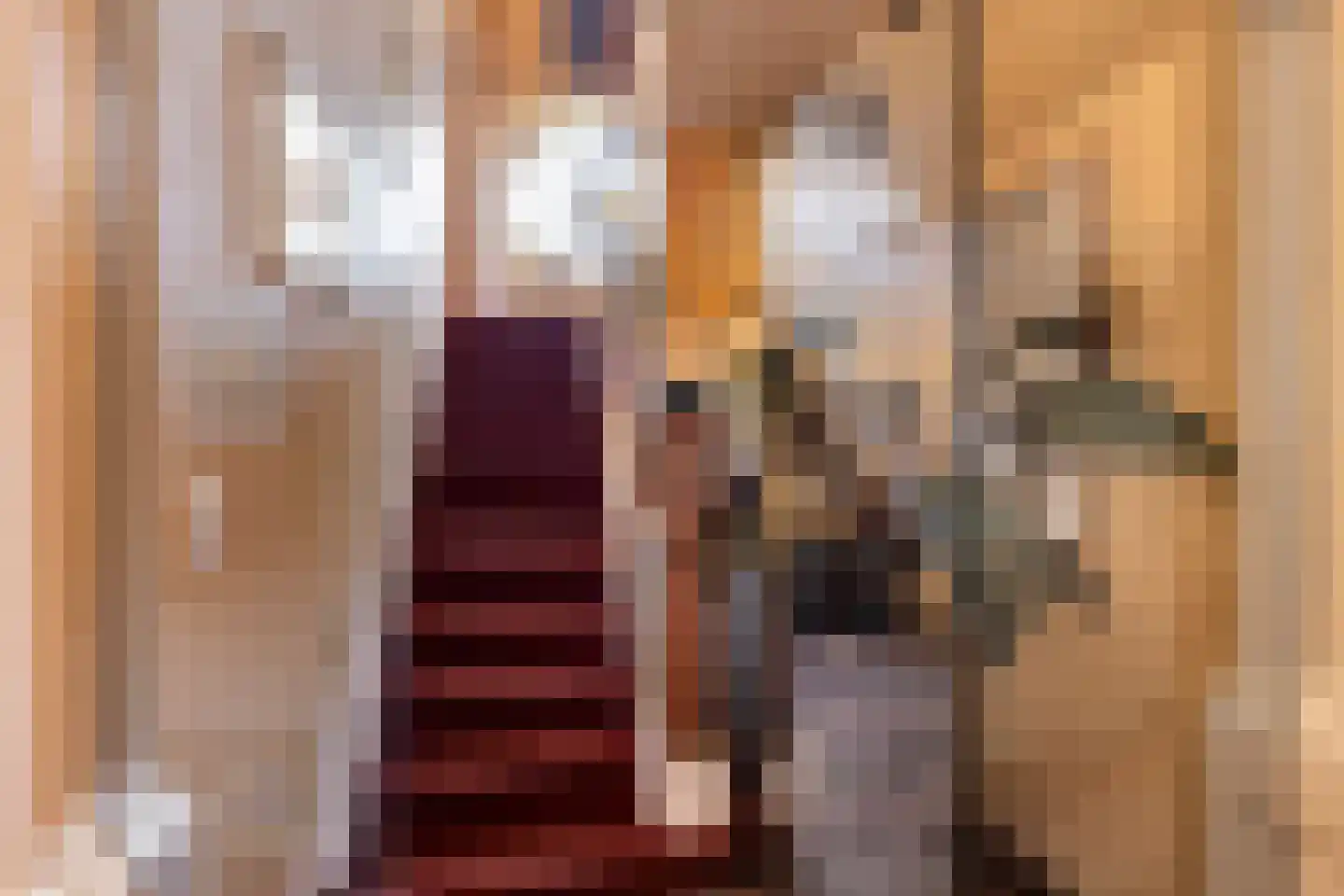 Patersstraat 15 Dalem thumbnail 21