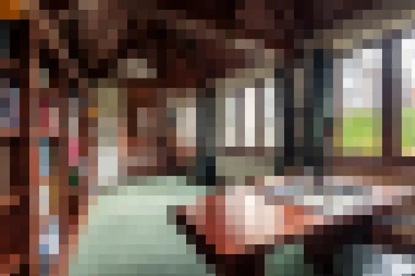Patersstraat 15 Dalem thumbnail 22