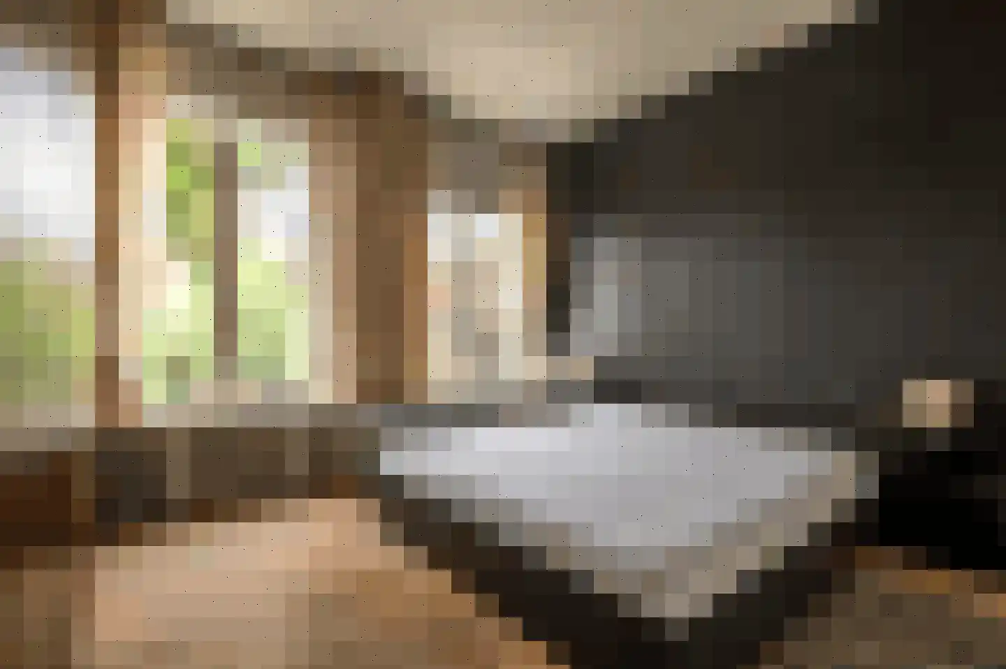 Patersstraat 15 Dalem thumbnail 23