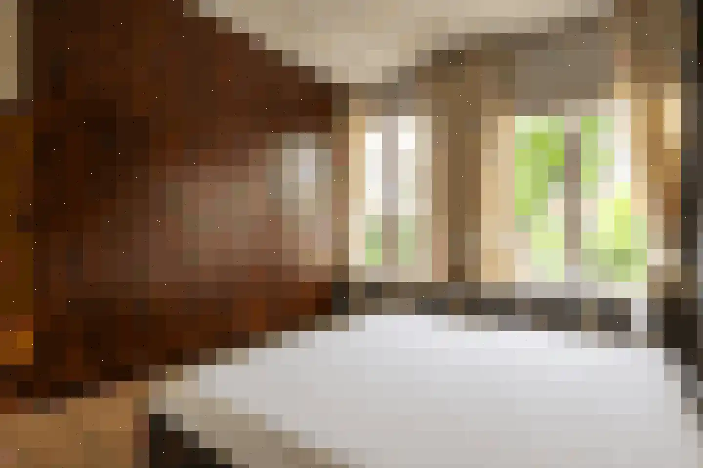 Patersstraat 15 Dalem thumbnail 24