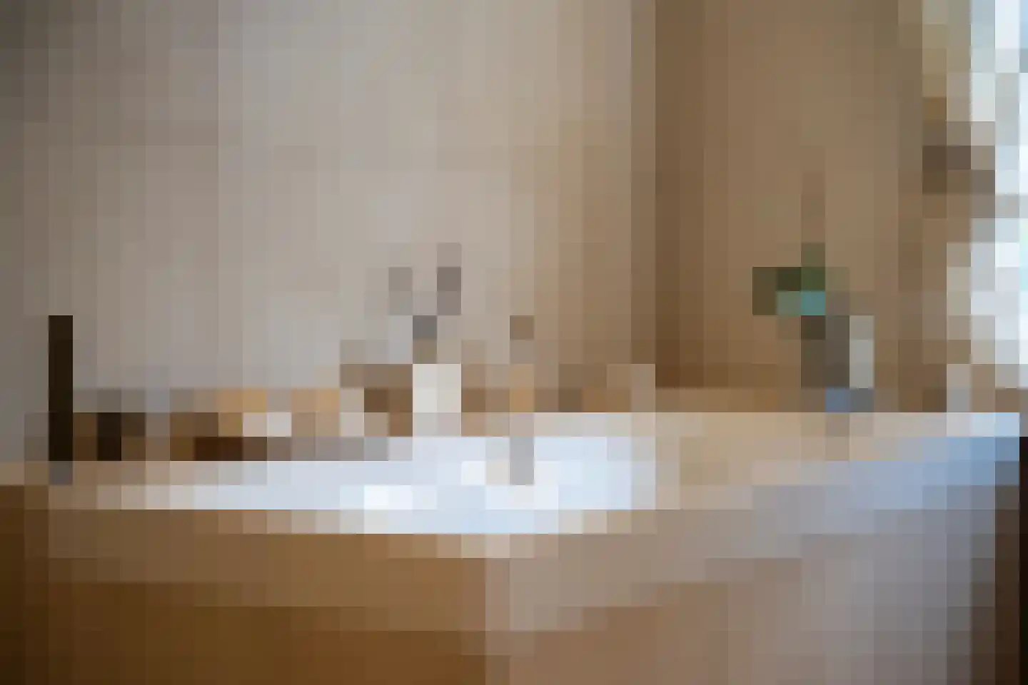 Patersstraat 15 Dalem thumbnail 25