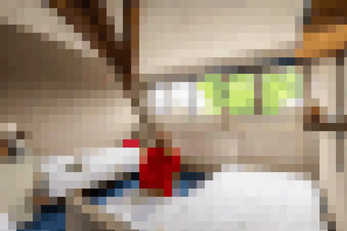 Patersstraat 15 Dalem thumbnail 31