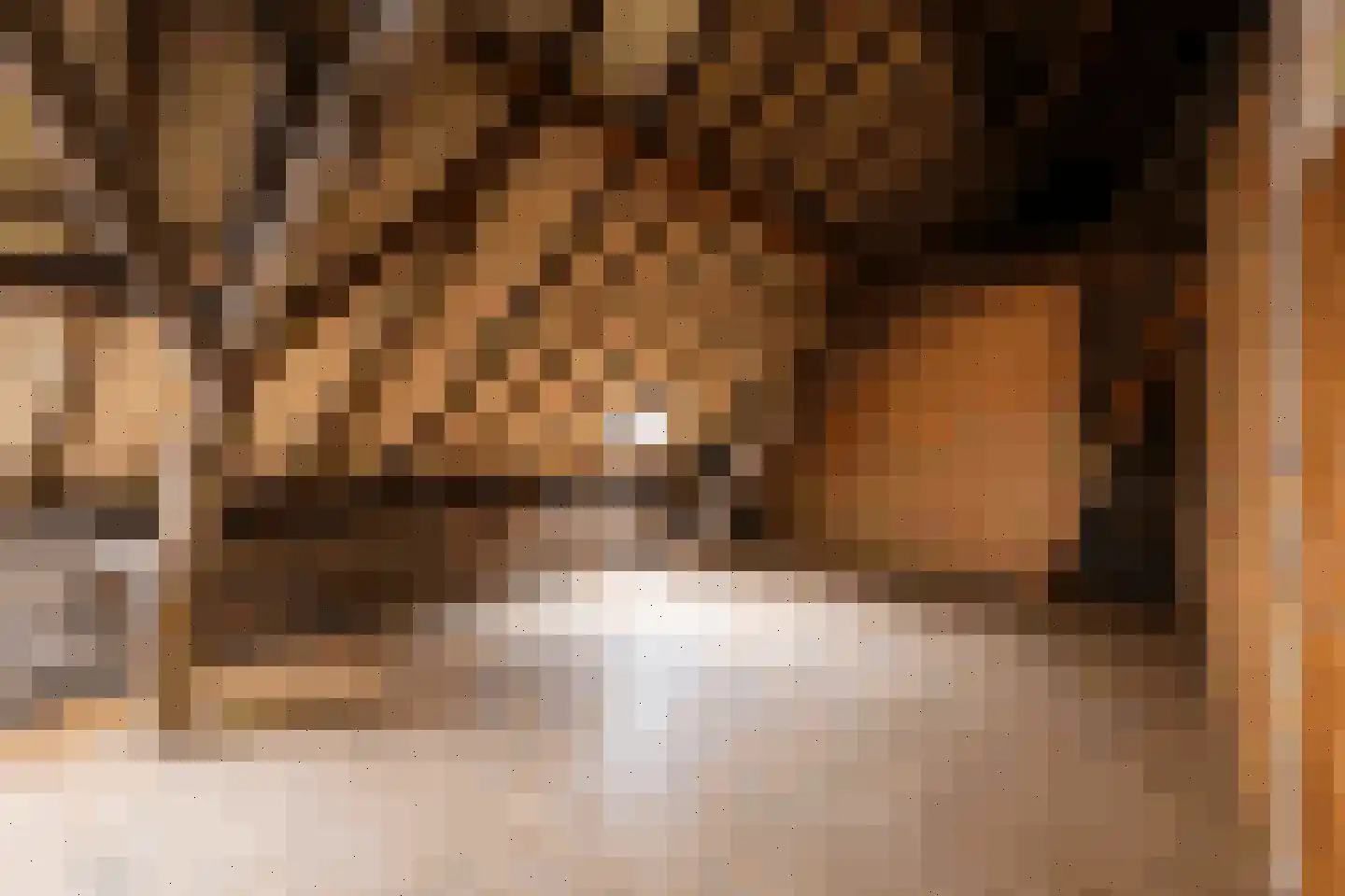 Patersstraat 15 Dalem thumbnail 34
