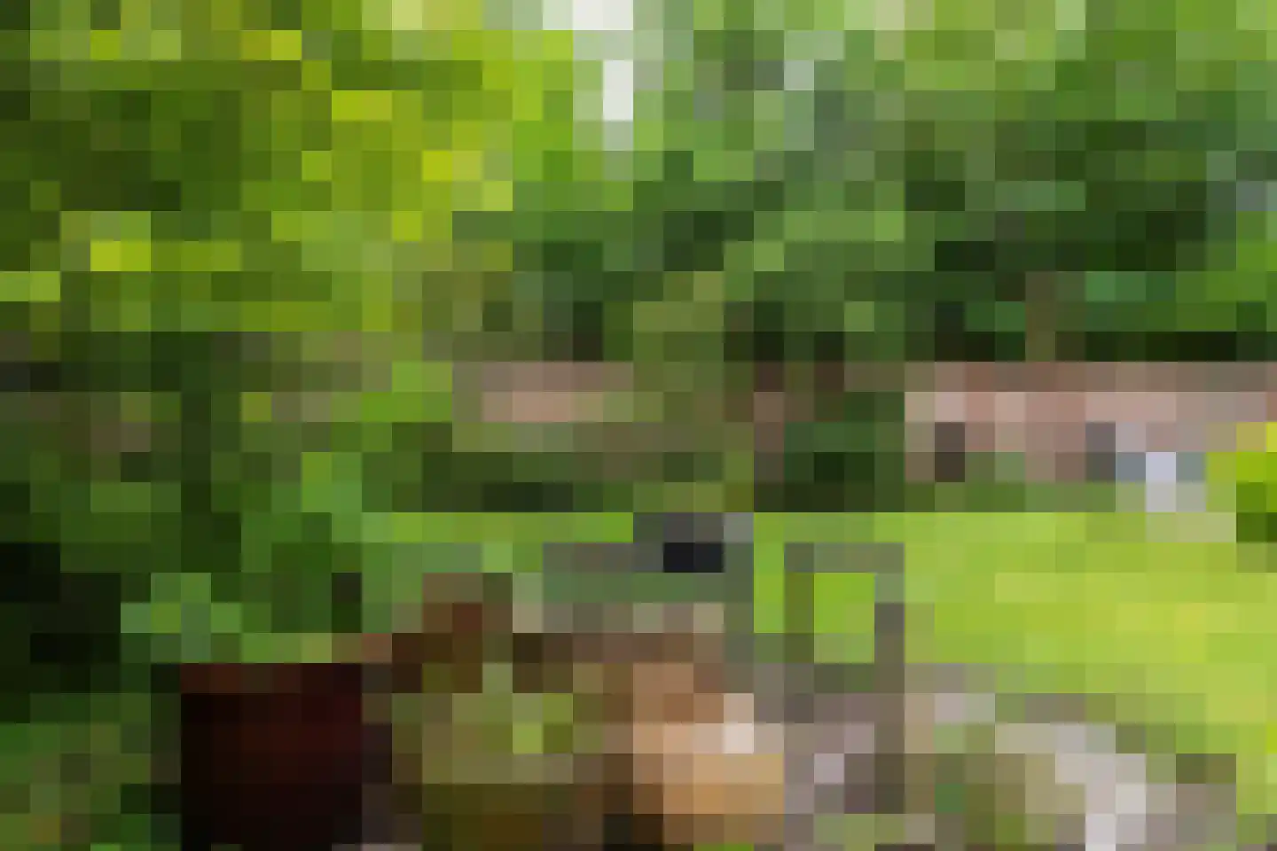 Patersstraat 15 Dalem thumbnail 38