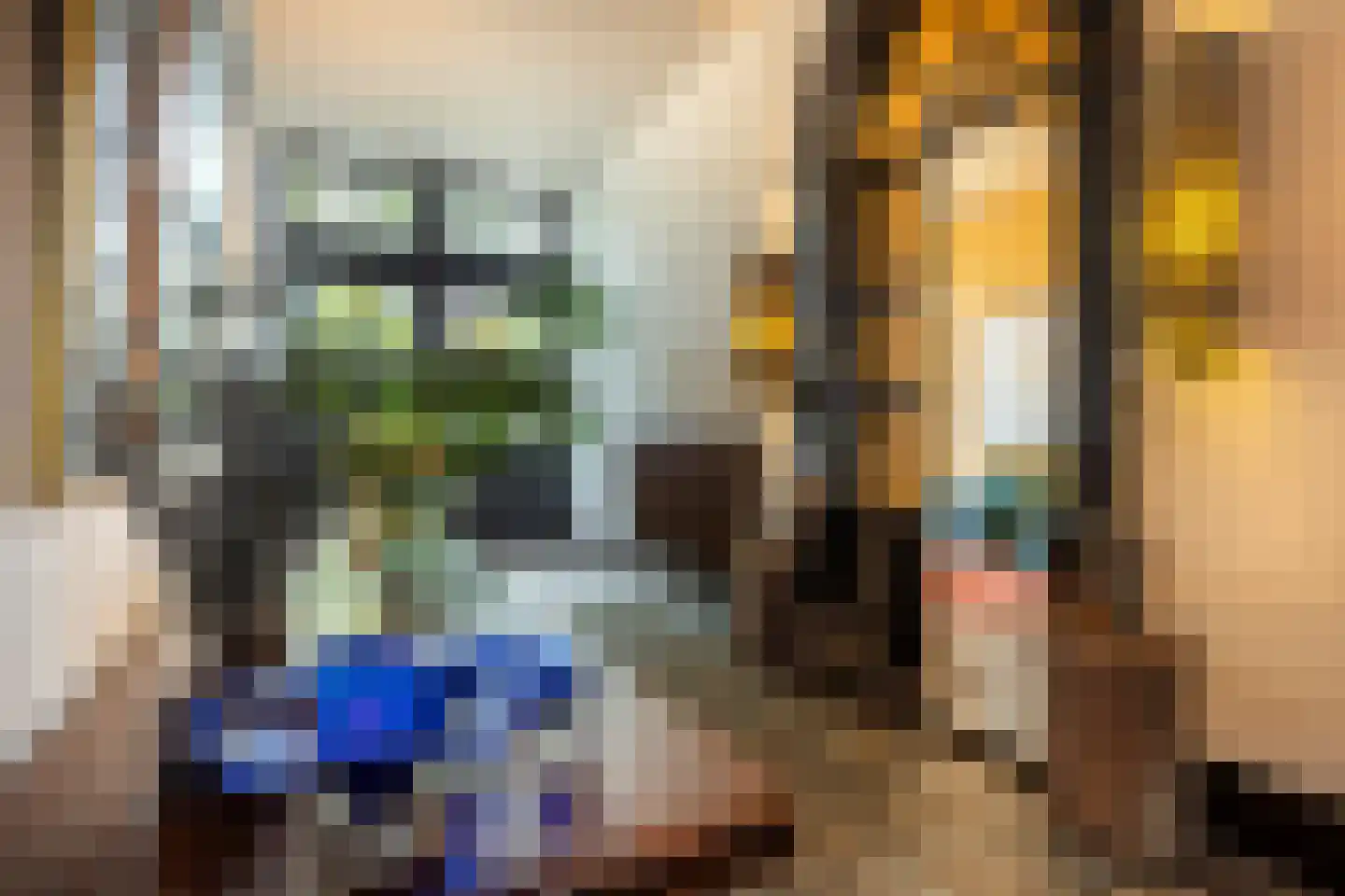 Patersstraat 15 Dalem thumbnail 39