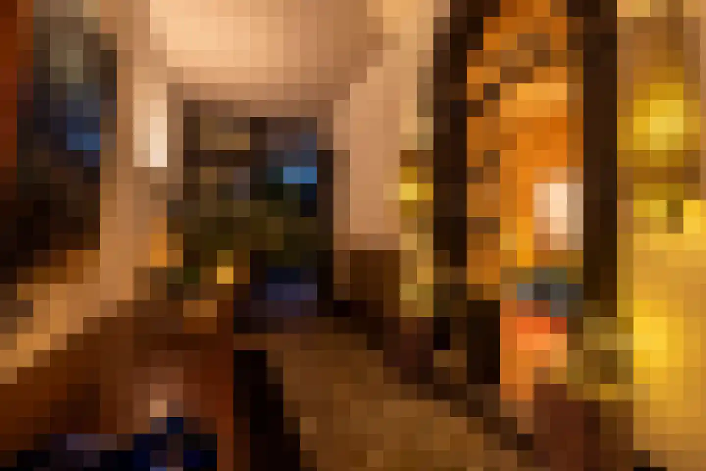 Patersstraat 15 Dalem thumbnail 4