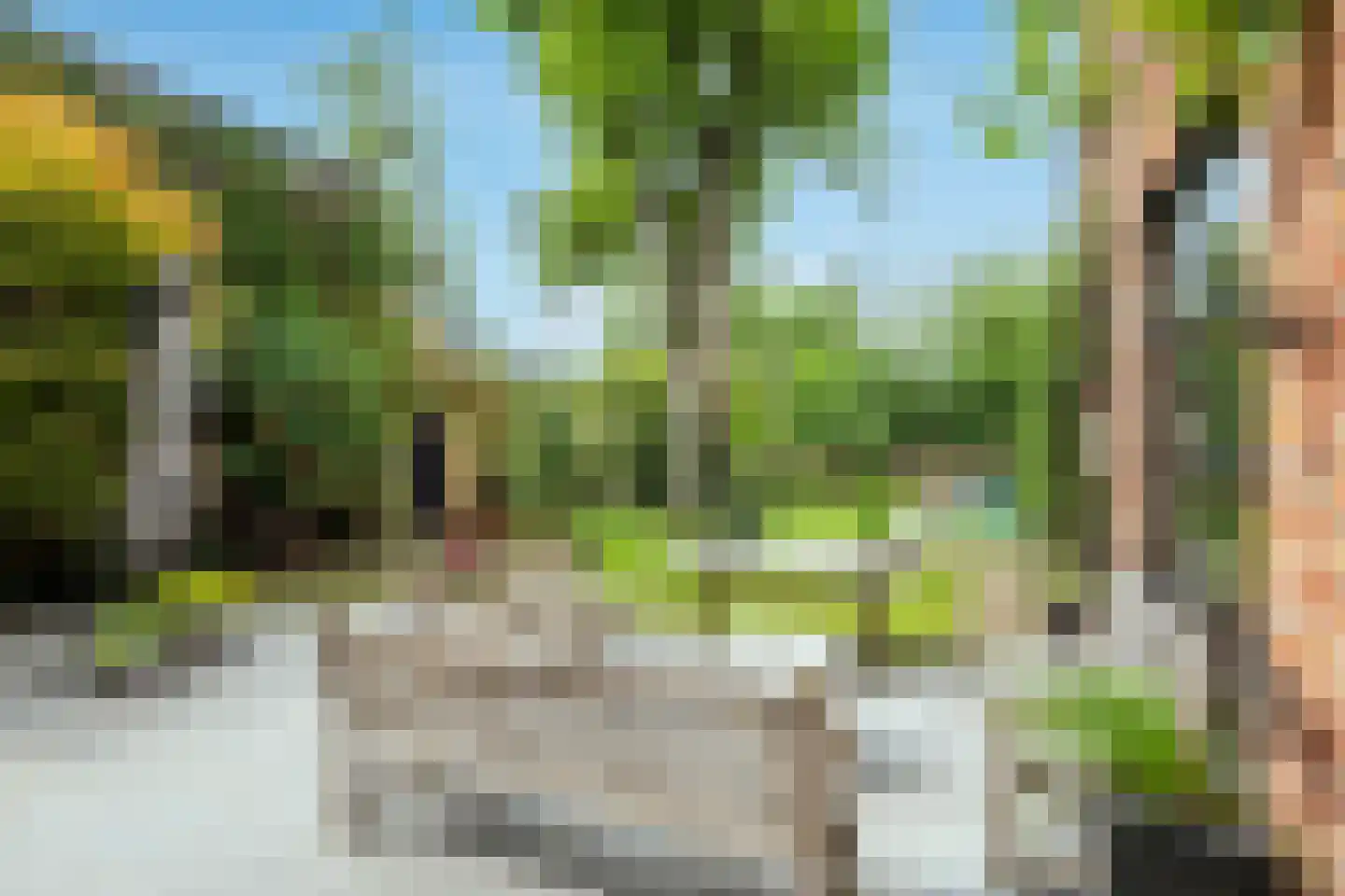 Patersstraat 15 Dalem thumbnail 40