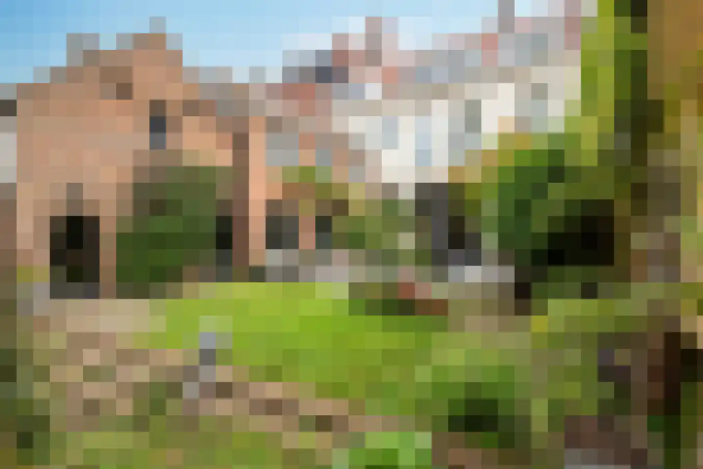 Patersstraat 15 Dalem thumbnail 41