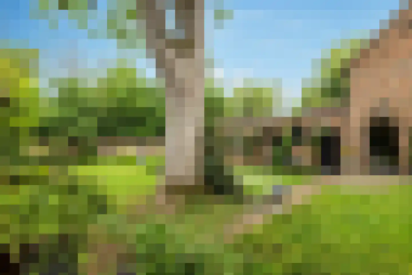 Patersstraat 15 Dalem thumbnail 46