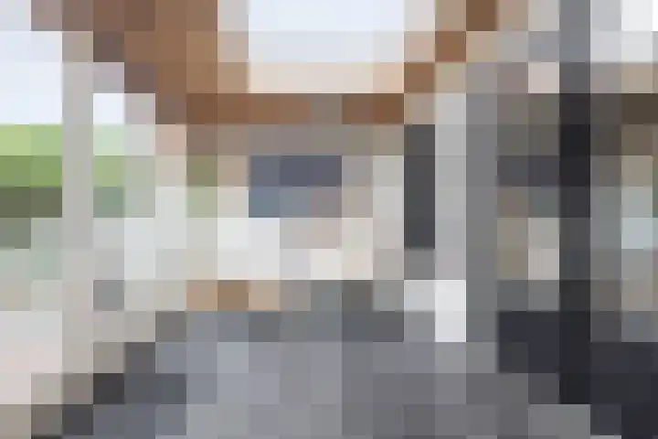 Patersstraat 16 Panningen thumbnail 14
