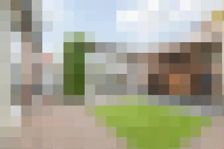 Patersstraat 16 Panningen thumbnail 31