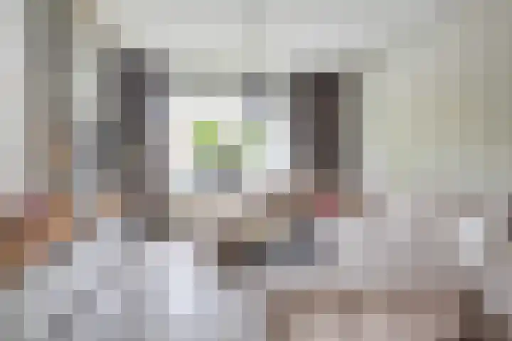 Patersstraat 16 Panningen thumbnail 4