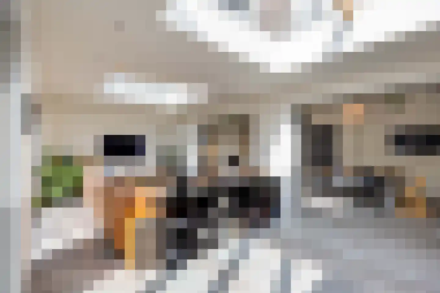 Patersstraat 18 Venray thumbnail 15