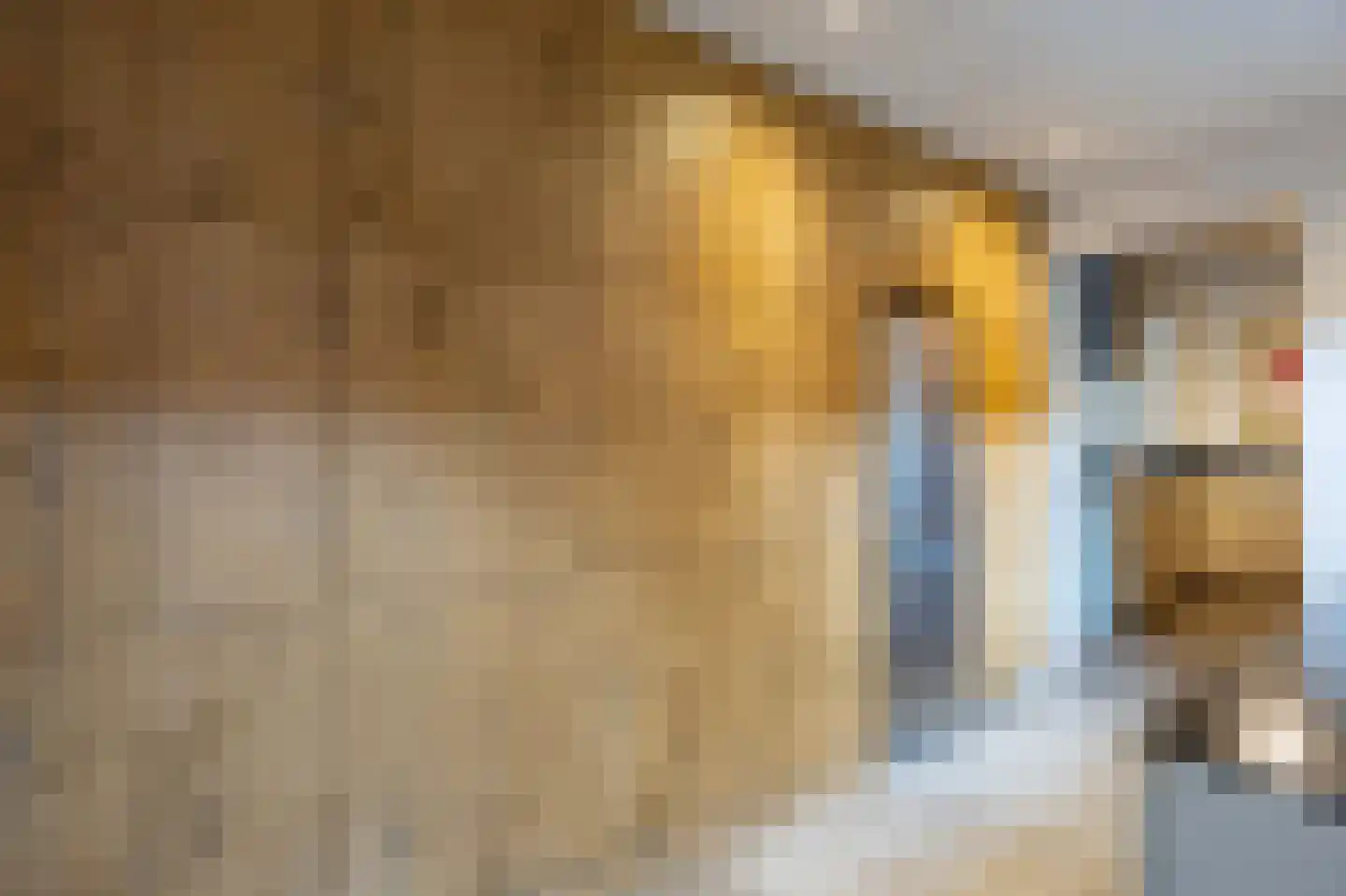 Patersstraat 18 Venray thumbnail 25
