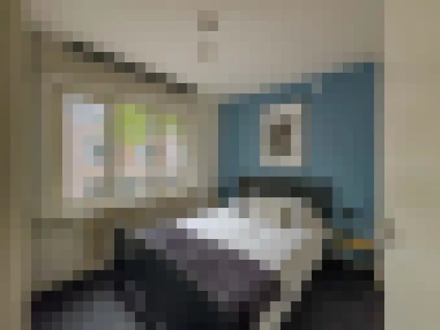 Patersstraat 18 Venray thumbnail 33