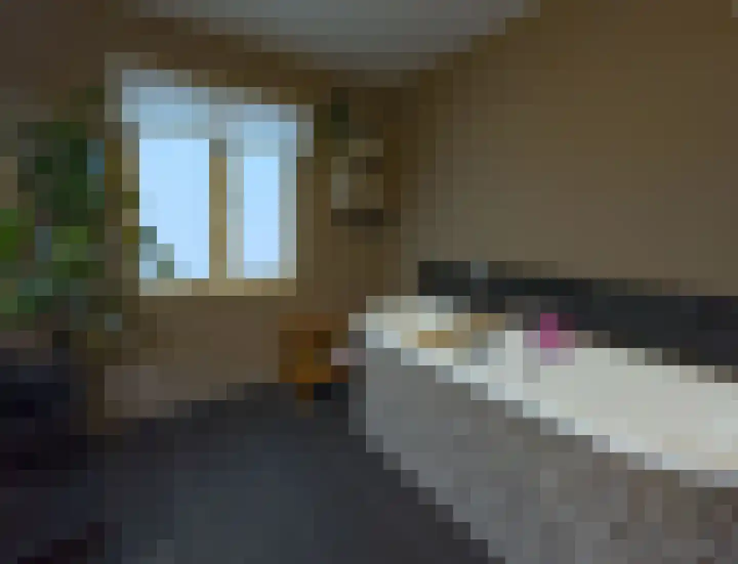 Patersstraat 18 Venray thumbnail 37