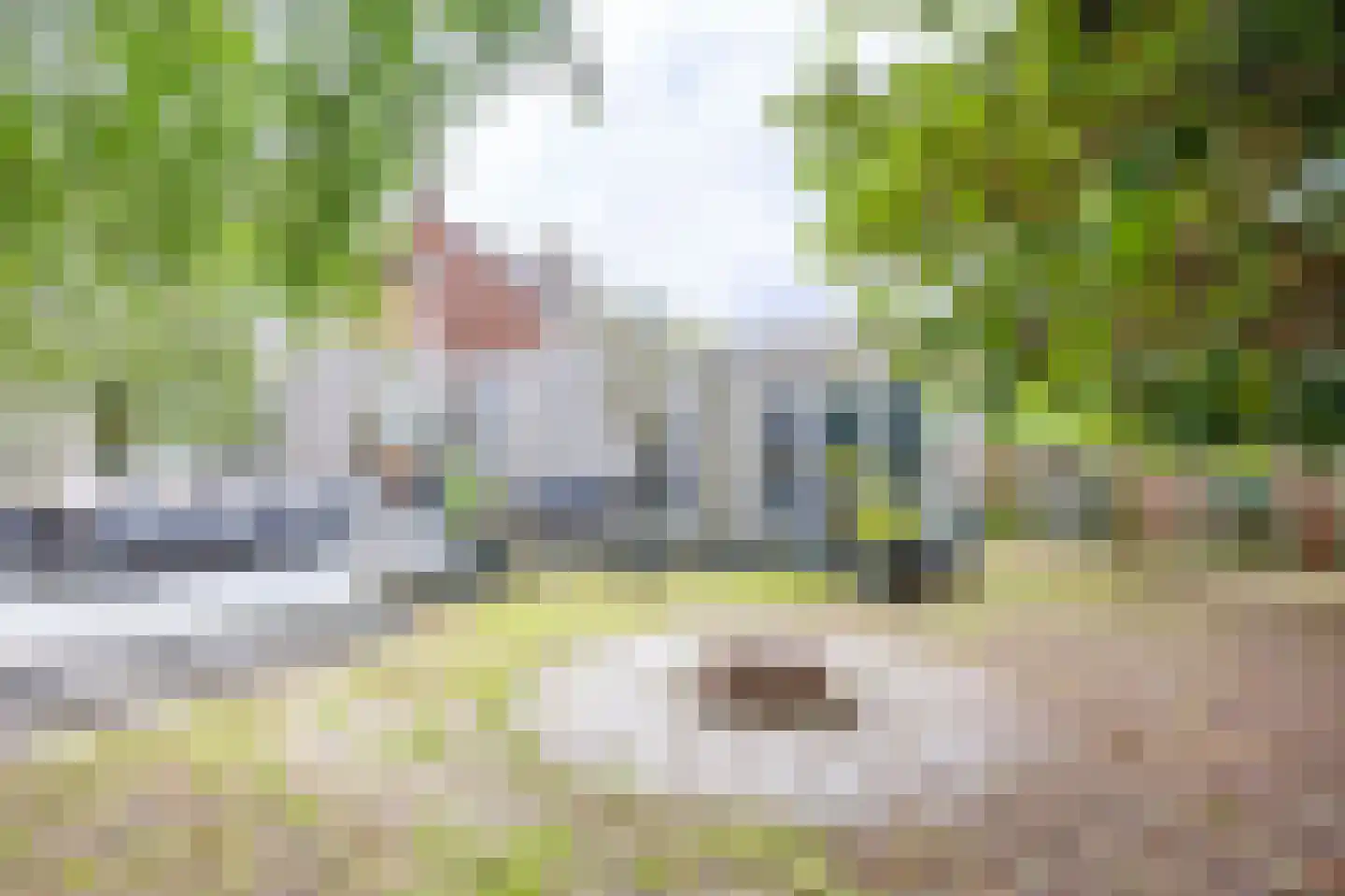 Patersstraat 18 Venray thumbnail 43