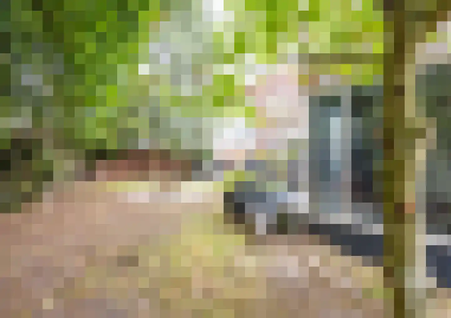 Patersstraat 18 Venray thumbnail 47