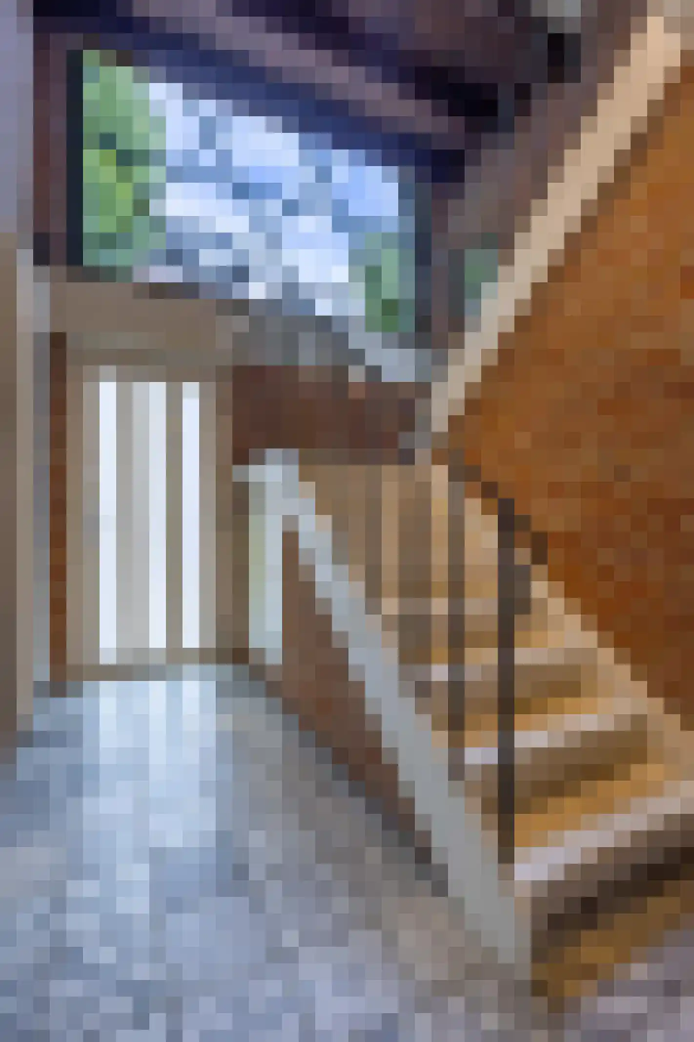 Patersstraat 18 Venray thumbnail 8
