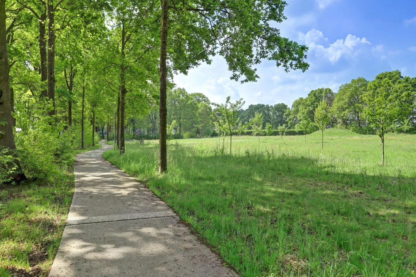 Patersstraat 19 Evertsoord thumbnail 60
