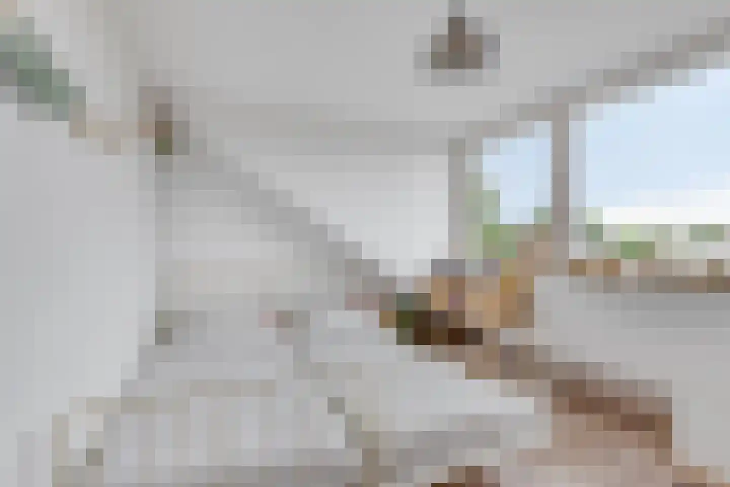 Patersstraat 20 Panningen thumbnail 36