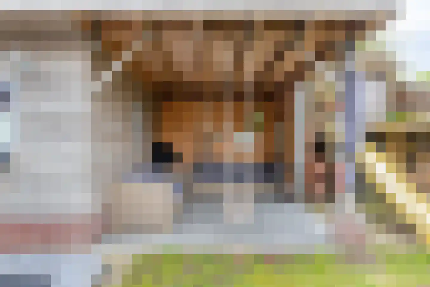 Patersstraat 20 Panningen thumbnail 42