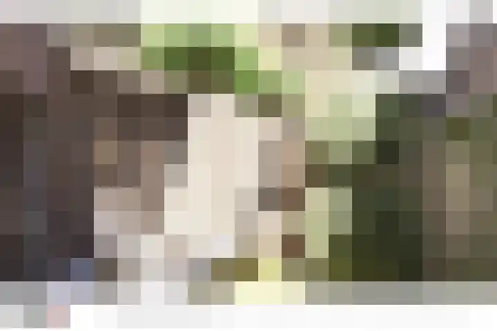 Patersstraat 4 A Venray thumbnail 8