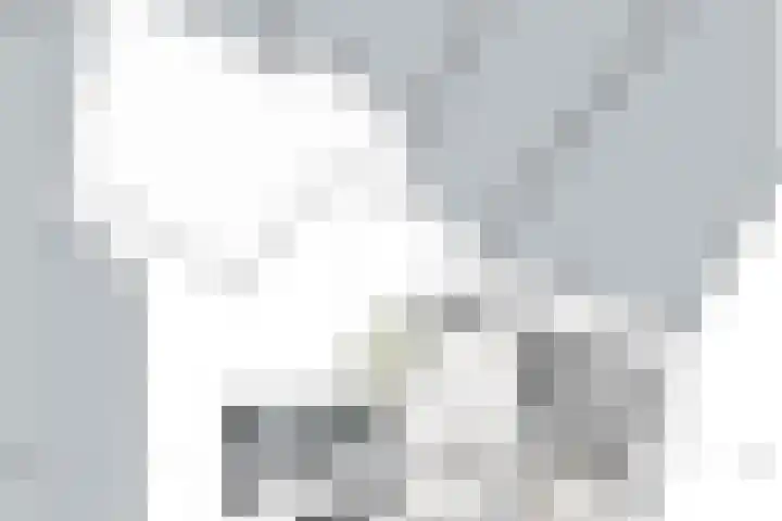 Patersstraat 4 D Venray thumbnail 17