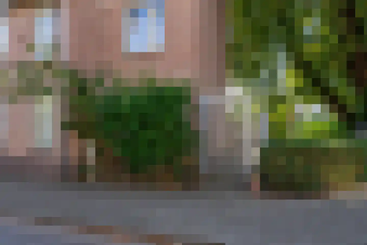 Patersstraat 71 Arnhem thumbnail 26
