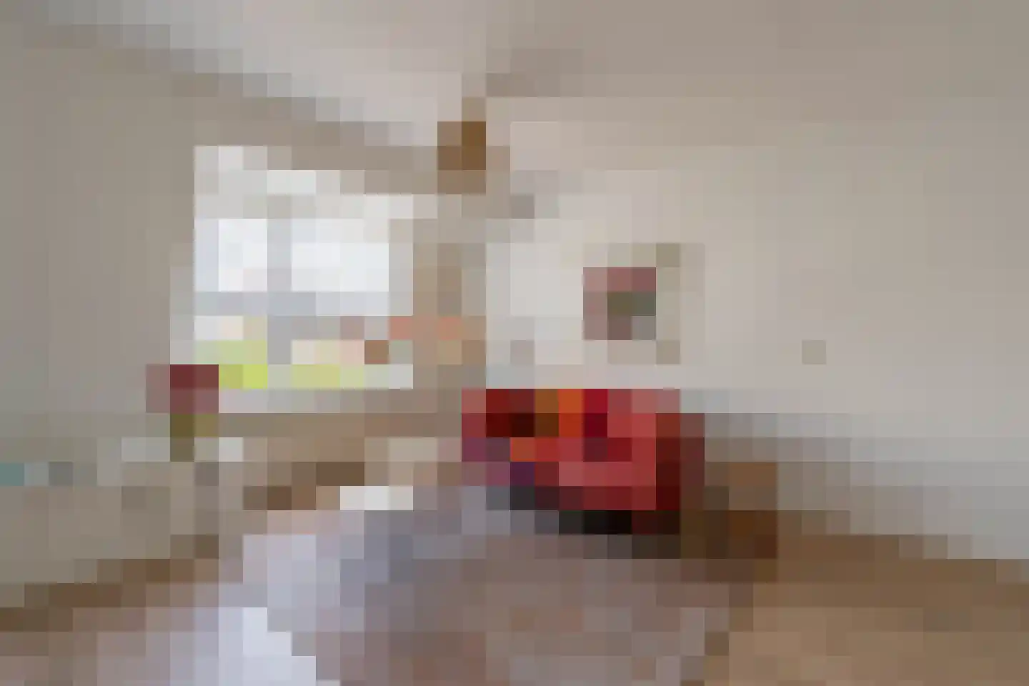 Patersstraat 71 Arnhem thumbnail 4