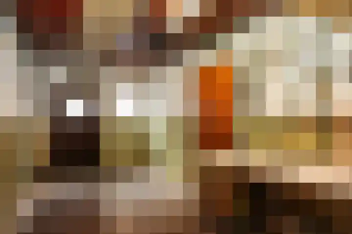 Paterstraat 1 Kerkdriel thumbnail 14