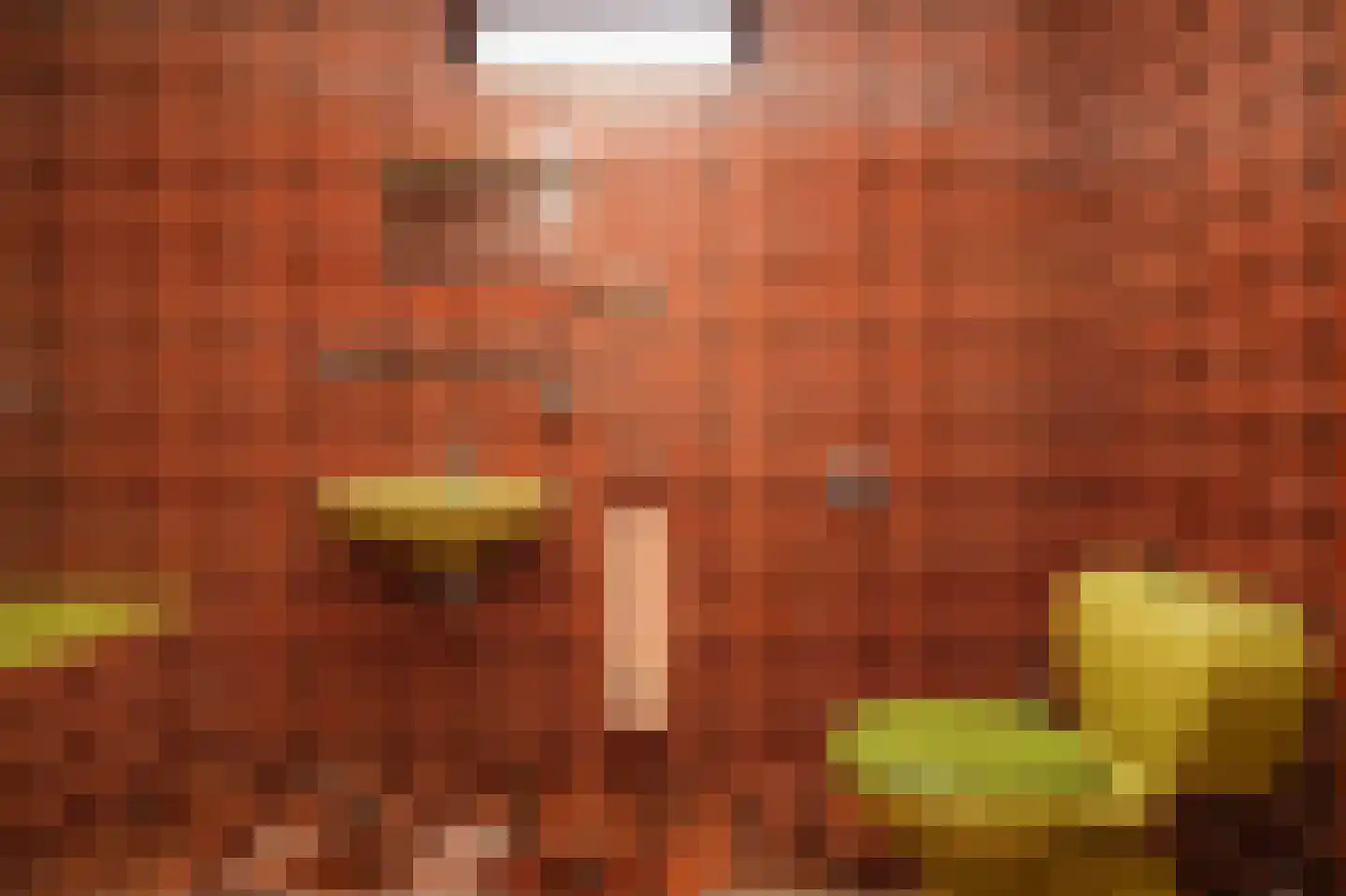 Paterstraat 1 Kerkdriel thumbnail 16