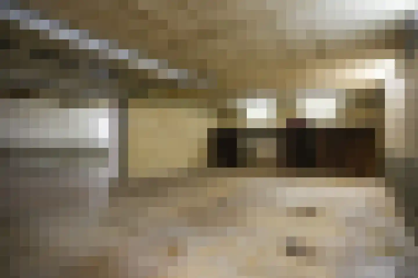 Paterstraat 1 Kerkdriel thumbnail 25