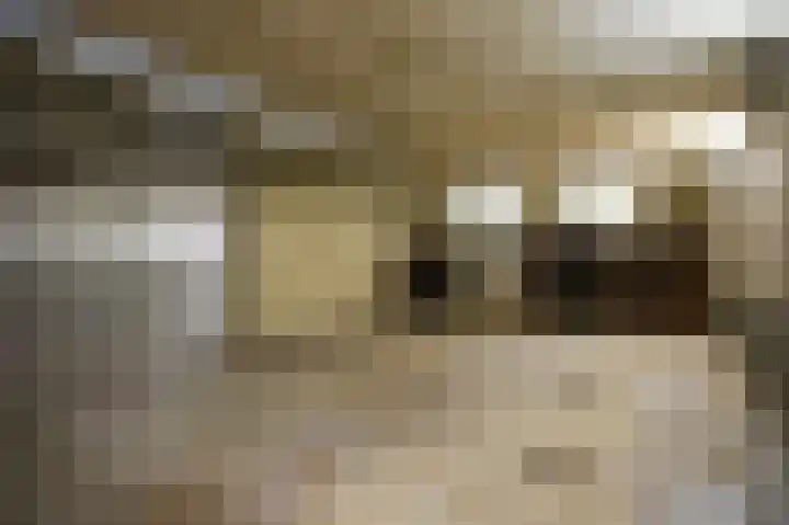 Paterstraat 1 Kerkdriel thumbnail 25