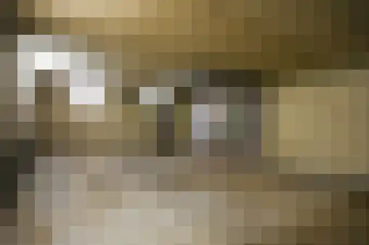 Paterstraat 1 Kerkdriel thumbnail 26