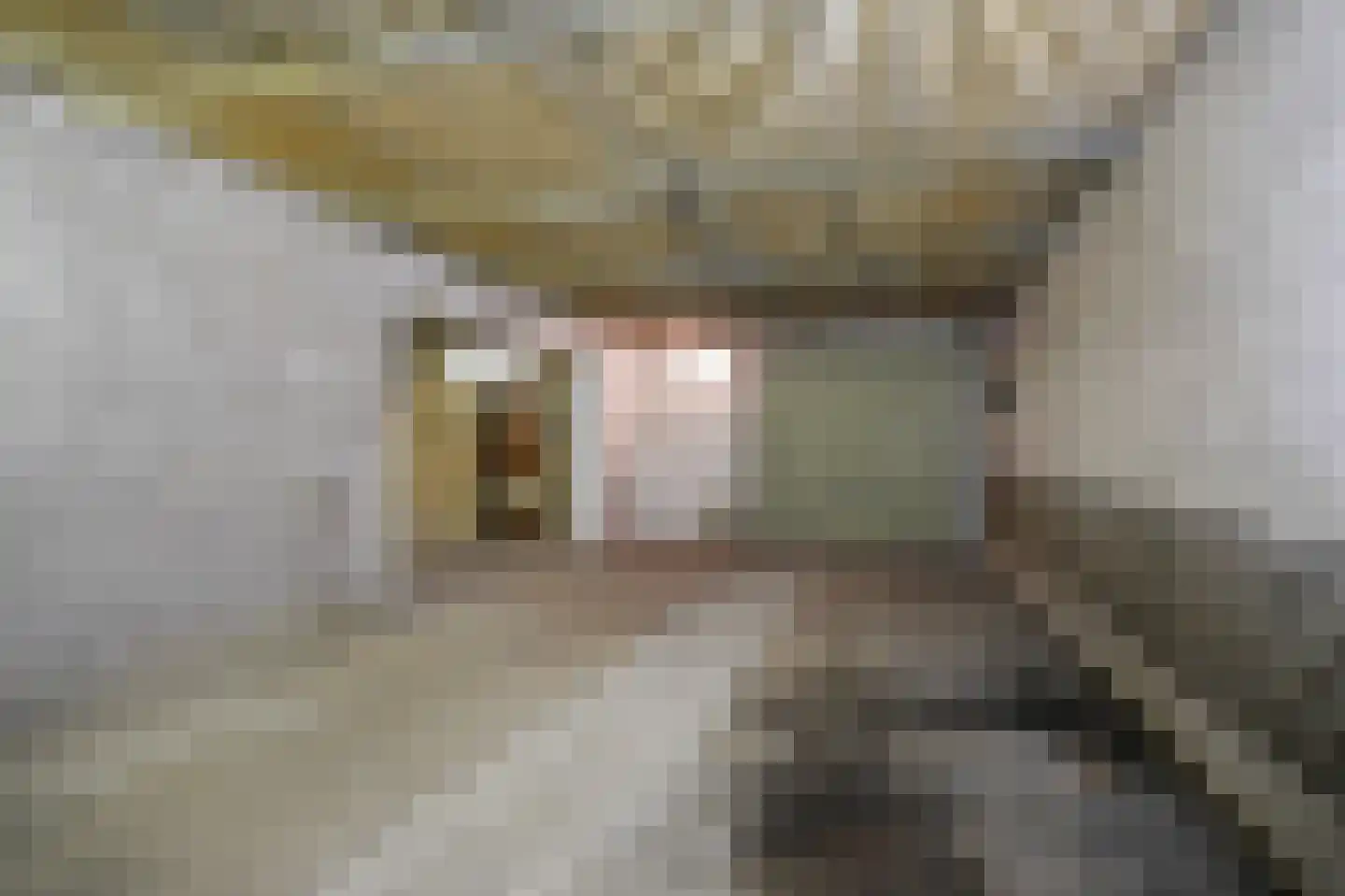 Paterstraat 1 Kerkdriel thumbnail 28