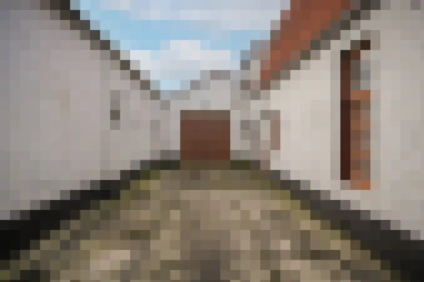 Paterstraat 1 Kerkdriel thumbnail 37