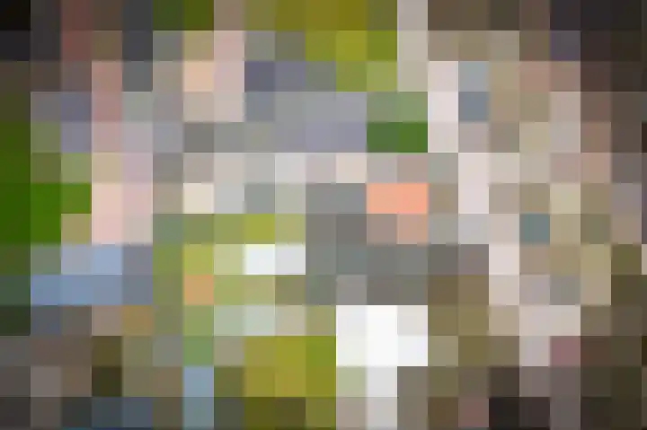 Paterstraat 1 Kerkdriel thumbnail 4