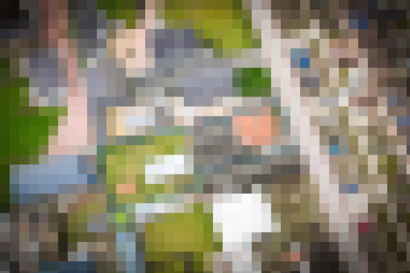 Paterstraat 1 Kerkdriel thumbnail 4
