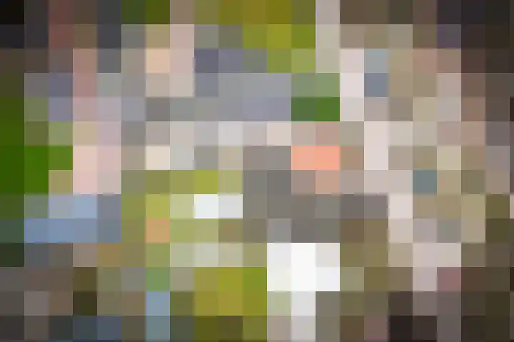 Paterstraat 1 Kerkdriel thumbnail 5