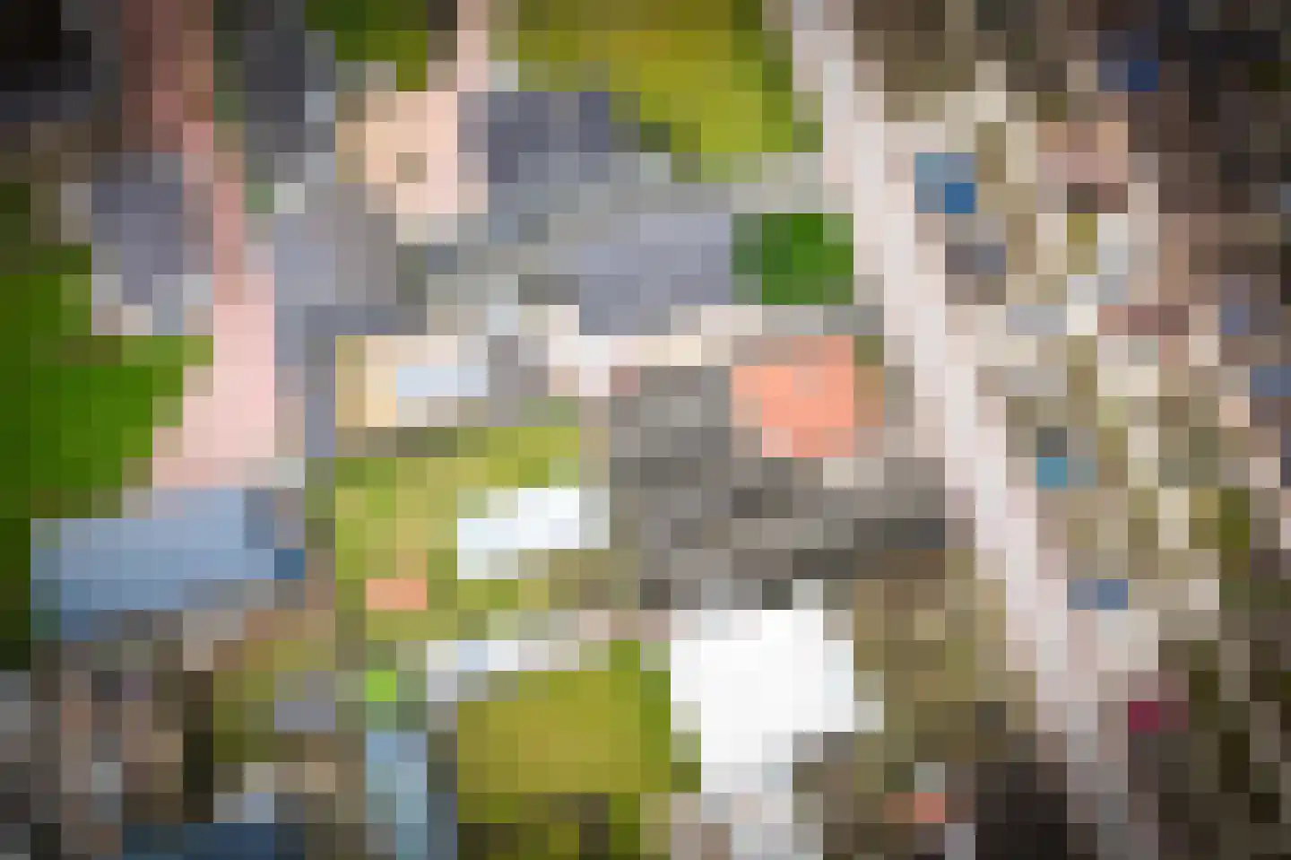 Paterstraat 1 Kerkdriel thumbnail 5