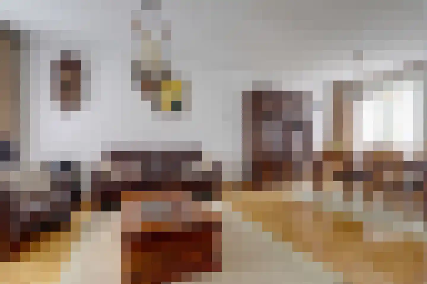 Paterstraat 106 Kerkdriel thumbnail 5