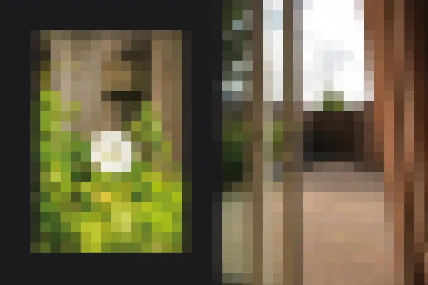 Paterstraat 114 Kerkdriel thumbnail 31