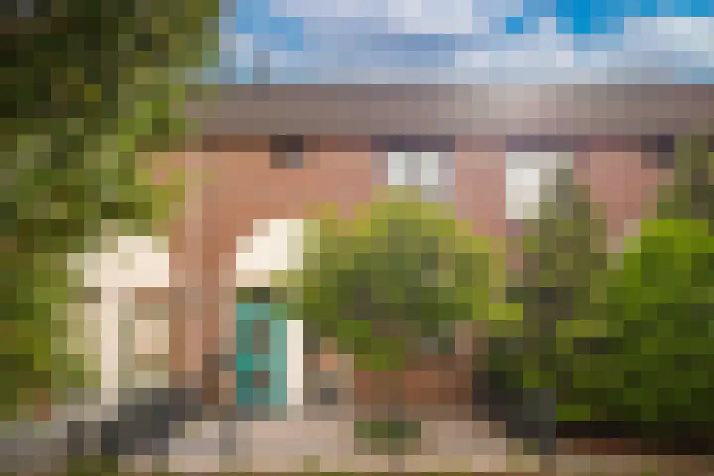 Paterstraat 114 Kerkdriel thumbnail 6