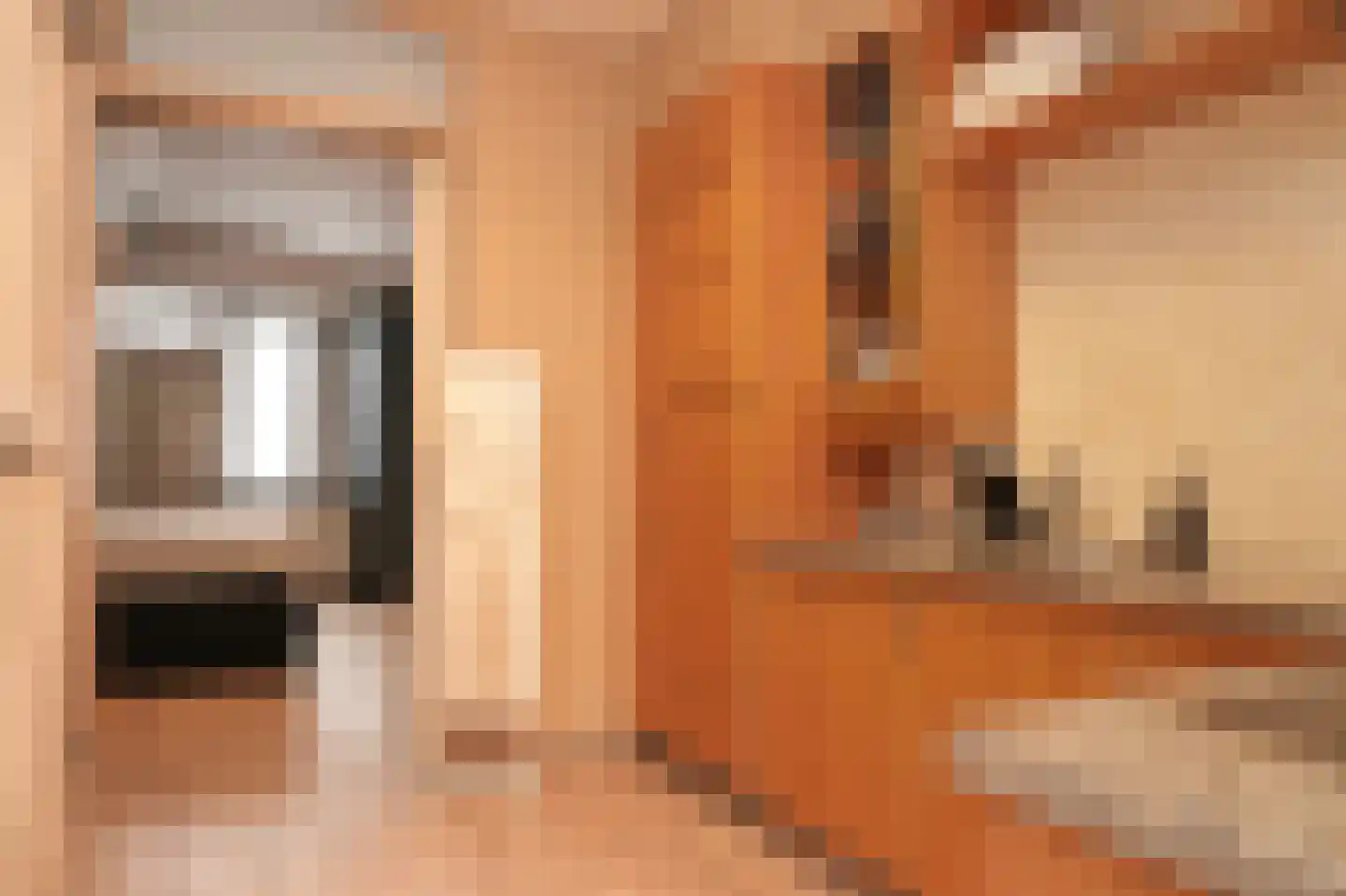 Paterstraat 2 Kerkdriel thumbnail 22