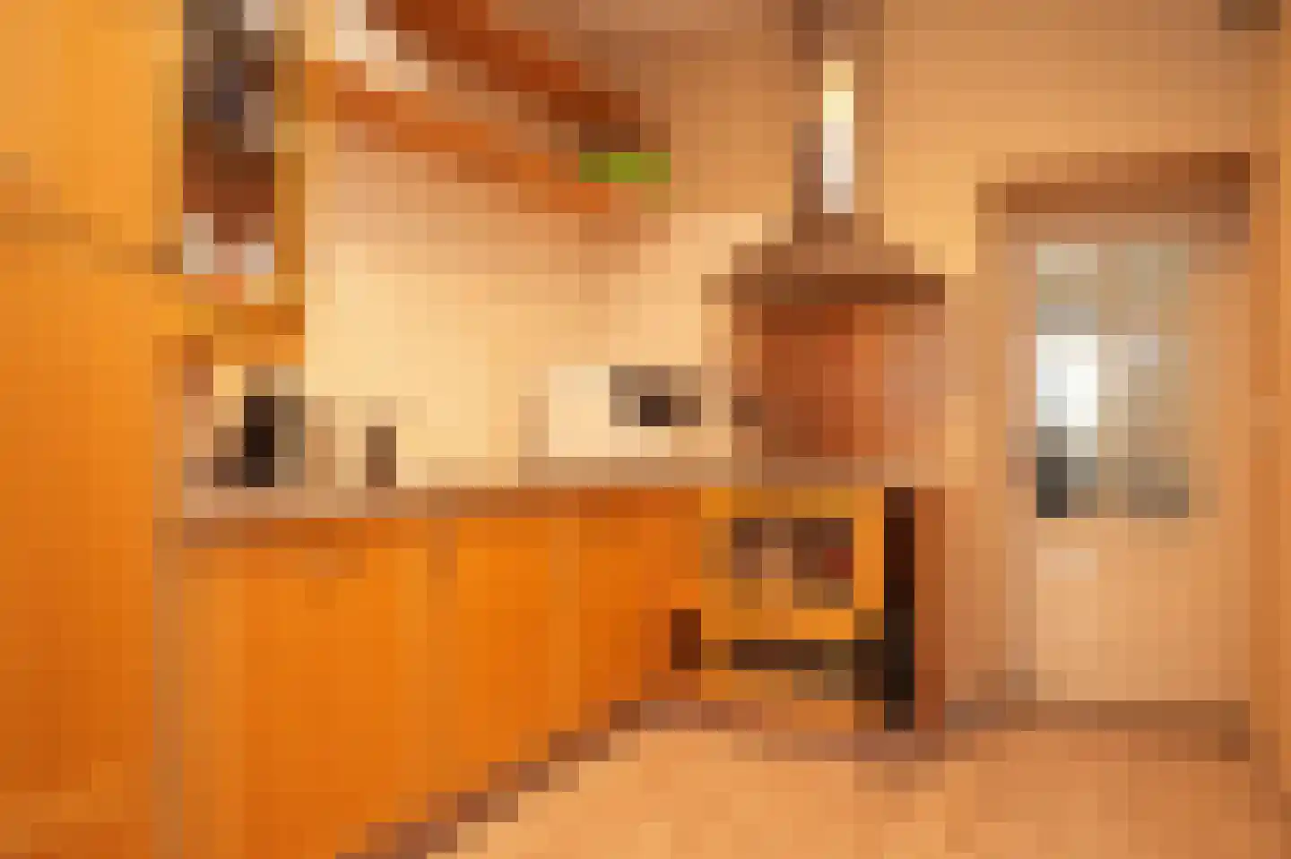 Paterstraat 2 Kerkdriel thumbnail 23