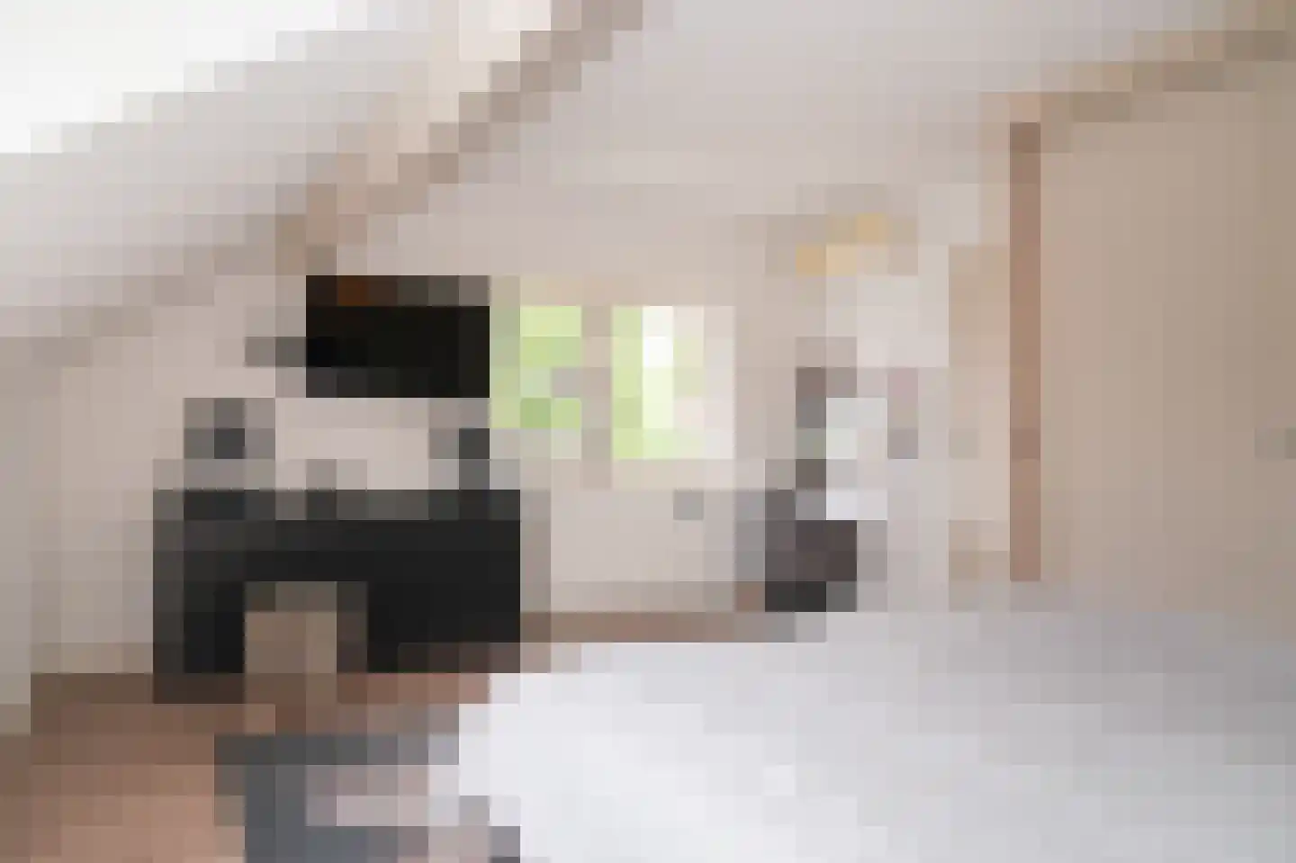 Paterstraat 2 Kerkdriel thumbnail 30
