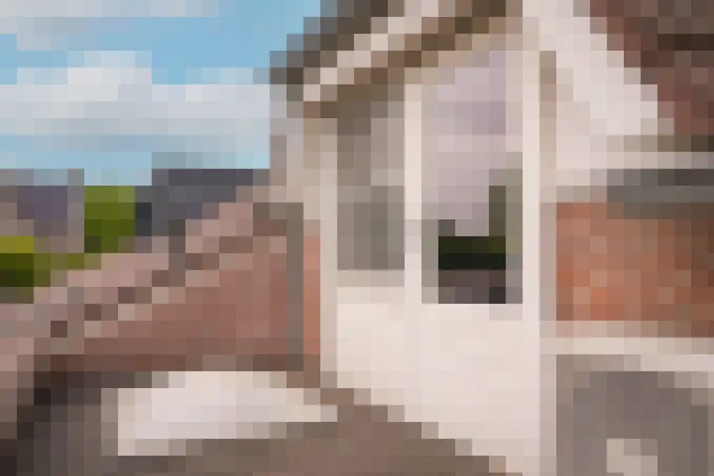 Paterstraat 2 Kerkdriel thumbnail 36