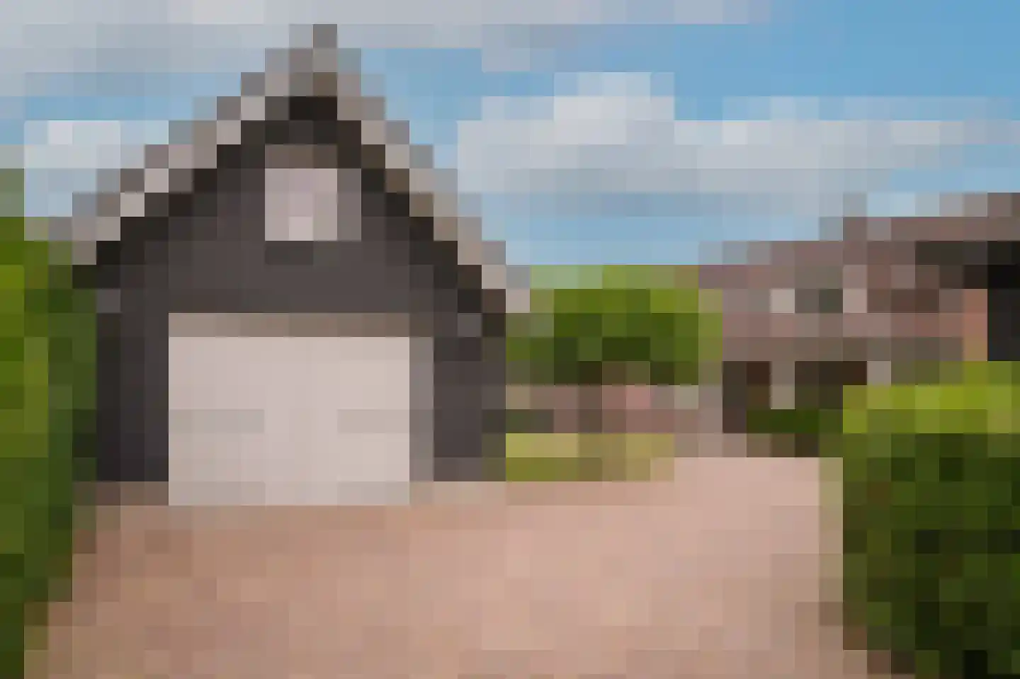Paterstraat 2 Kerkdriel thumbnail 52