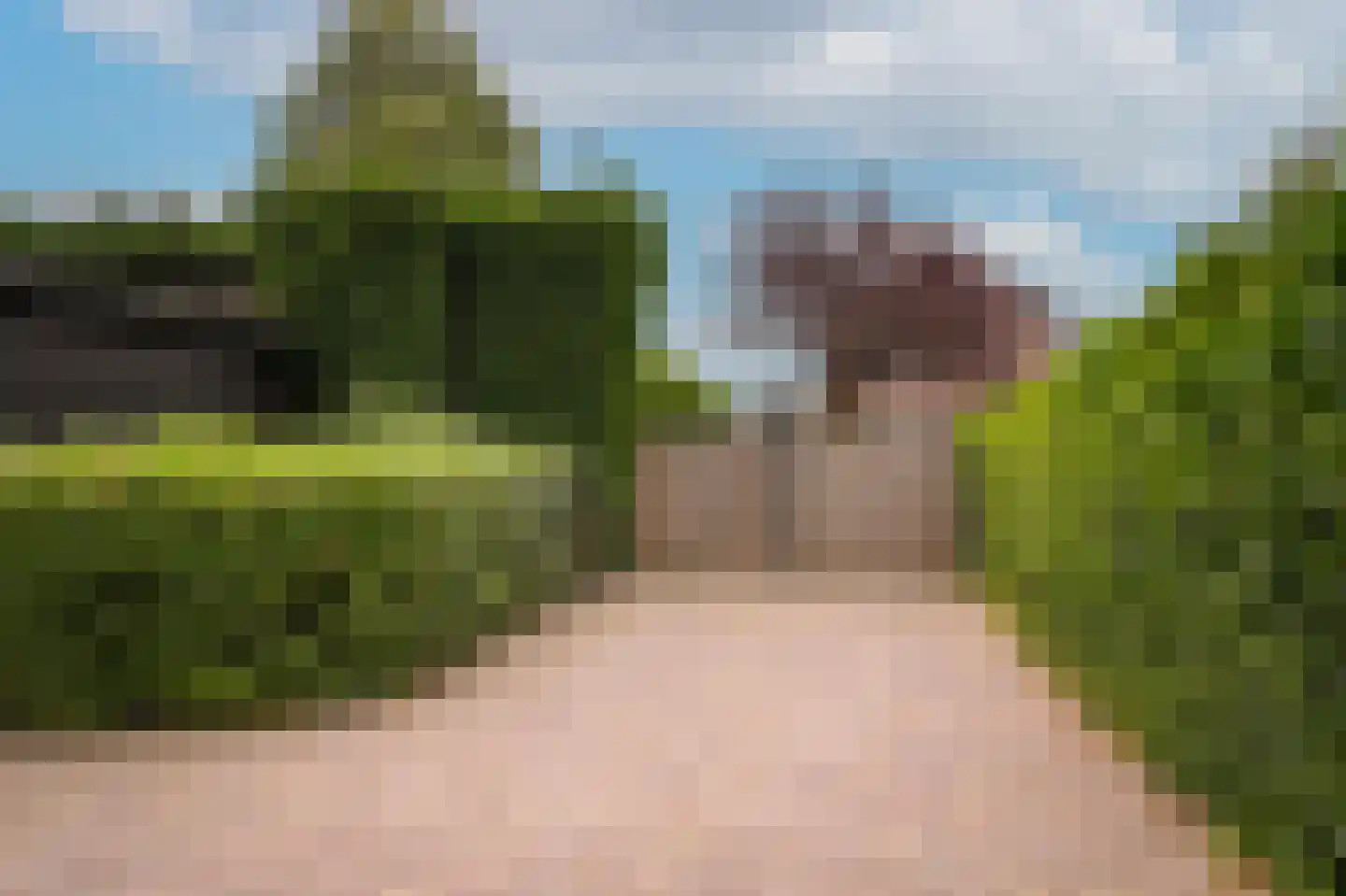 Paterstraat 2 Kerkdriel thumbnail 54
